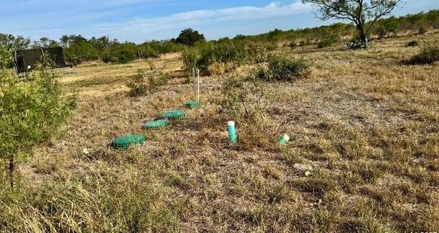 rental at 295 Lobo in Hondo, TX — photo 3