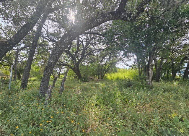 rental at 5138 Wurzbach Rd in San Antonio, TX — photo 1
