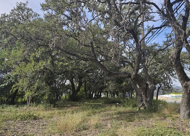 rental at 5138 Wurzbach Rd in San Antonio, TX — photo 2