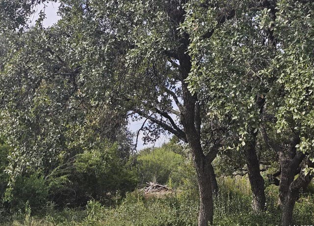 rental at 5138 Wurzbach Rd in San Antonio, TX — photo 3