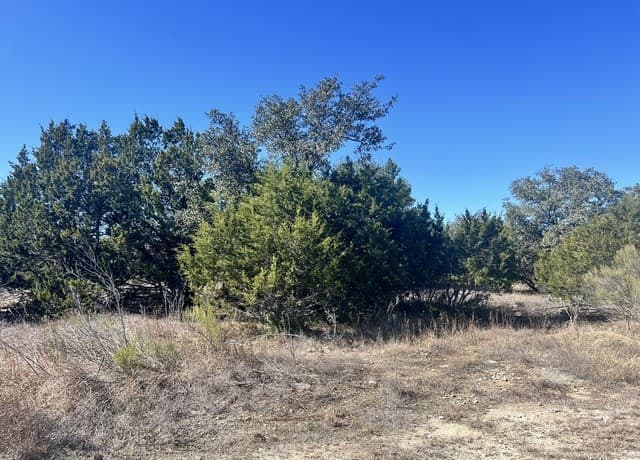 rental at 422 Eider Cove in Spring Branch, TX — photo 4