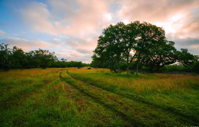 rental at 000 Rolling hill in Spring Branch, TX — photo 1