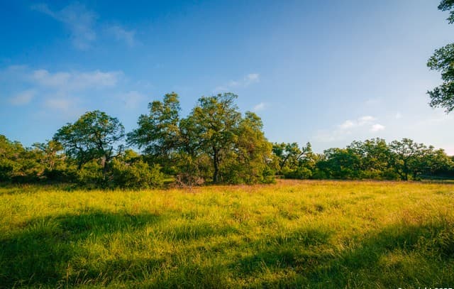 rental at 000 Rolling hill in Spring Branch, TX — photo 3