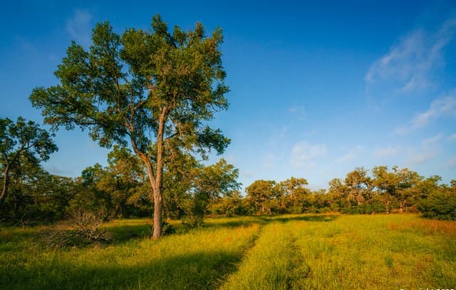 rental at 000 Rolling hill in Spring Branch, TX — photo 4