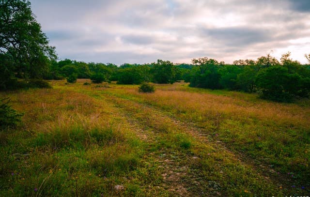 rental at 000 Rolling hill in Spring Branch, TX — photo 5