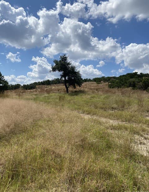 rental at LOTS 157/155 E Headwaters Ranch Rd in Kendalia, TX — photo 3