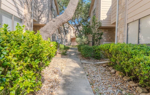 2-bedroom rental at 829 Bitters Unit APT 503 in San Antonio, TX — photo 2