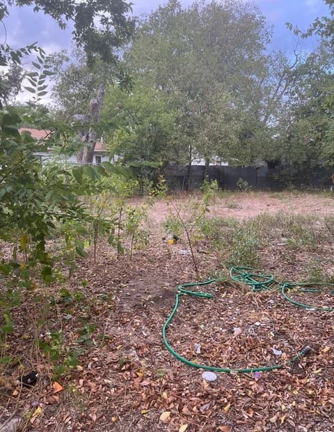 rental at 1807 Hidalgo St in San Antonio, TX — photo 2