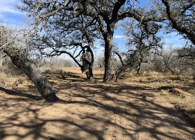 rental at 3 ACRES Cr 2644 in Moore, TX — photo 3