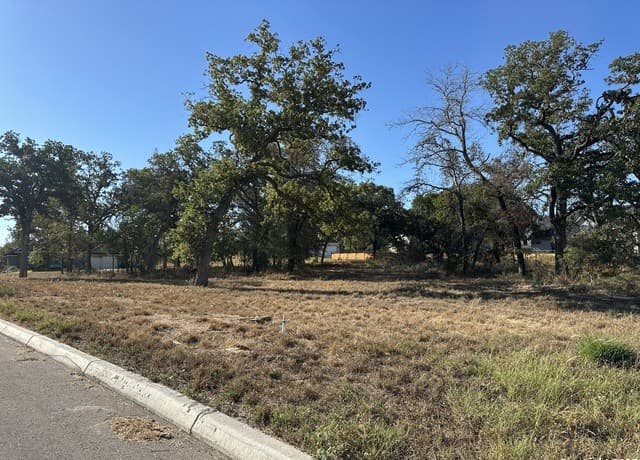 rental at 124 Chinaberry in La Vernia, TX — photo 4