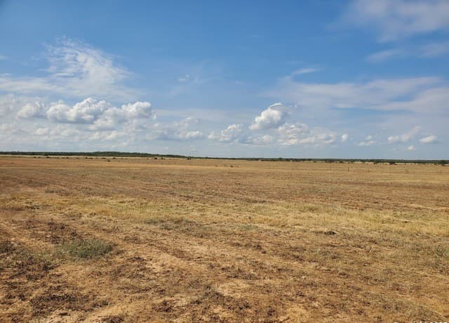 rental at 906 County Road 1670 in Moore, TX — photo 4