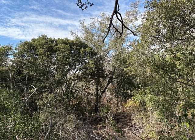 rental at 10.36 ACRES New Sulphur Springs Road in San Antonio, TX — photo 5