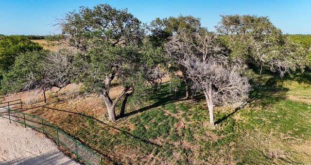 rental at LOT 24 County Road 2500 in Bigfoot, TX — photo 2