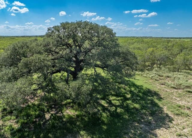 rental at 444 County Road 748 in Yancey, TX — photo 3