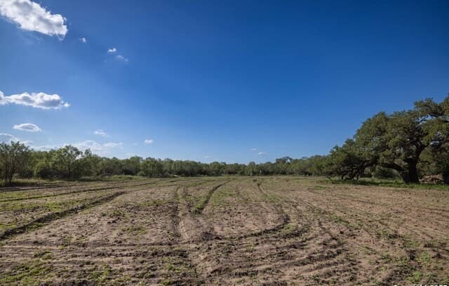 rental at 444 County Road 748 in Yancey, TX — photo 4