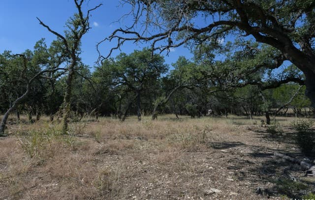 rental at 26530 Fawn Mountain in Boerne, TX — photo 1
