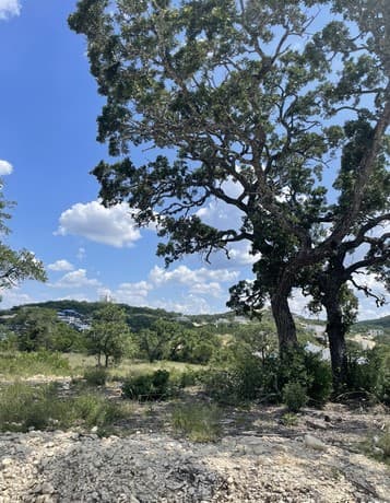 rental at 24311 Tres Arroyos in San Antonio, TX — photo 5