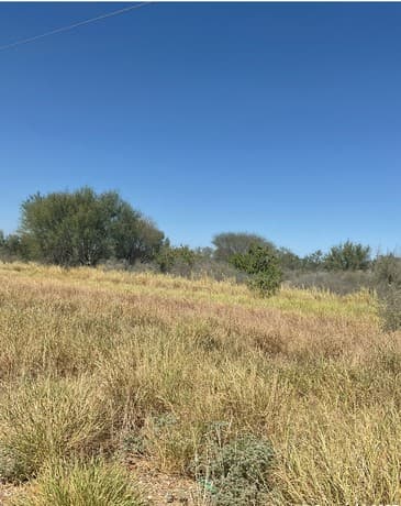 rental at 3510 Fm 468 in Cotulla, TX — photo 3