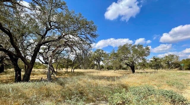 rental at 265 Firewheel Loop in Floresville, TX — photo 2