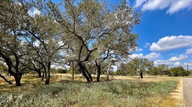 rental at 265 Firewheel Loop in Floresville, TX — photo 3