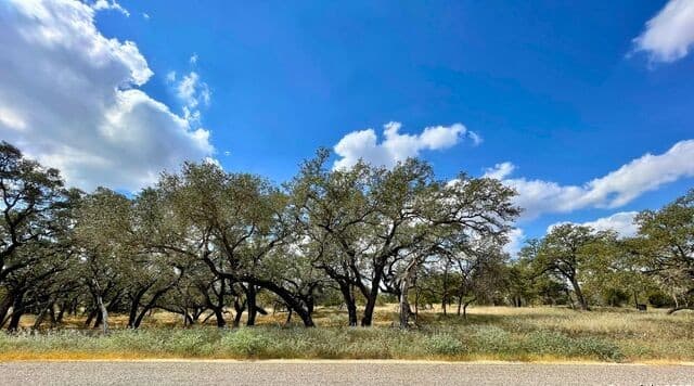 rental at 265 Firewheel Loop in Floresville, TX — photo 4
