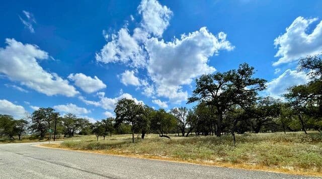 rental at 265 Firewheel Loop in Floresville, TX — photo 5