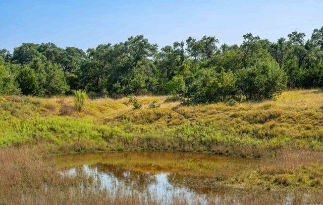 Home for sale at 147 Gray Wolf in Blanco, TX — photo 3