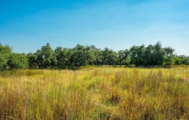 Home for sale at 147 Gray Wolf in Blanco, TX — photo 4
