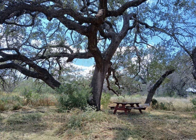 rental at 4415 State Highway 173 in Bigfoot, TX — photo 1