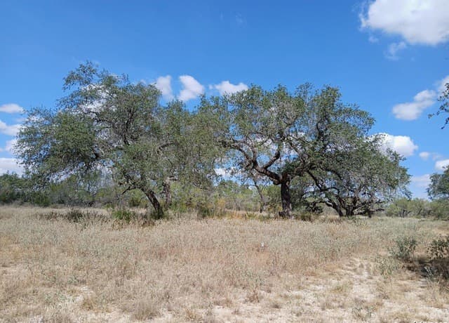 rental at 4415 State Highway 173 in Bigfoot, TX — photo 2