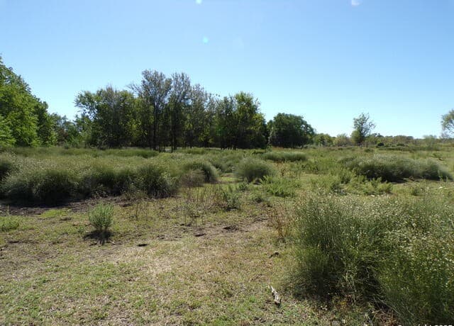 rental at 11957 Kearney Rd in Atascosa, TX — photo 2