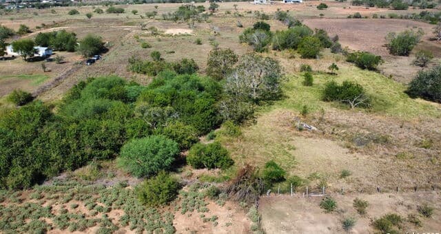 rental at 116 Tecolote Ln in Floresville, TX — photo 4