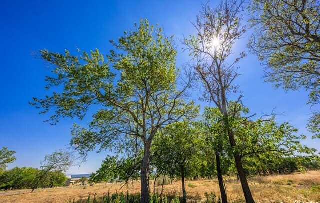 rental at LOT 9 The Views Blvd in Fredericksburg, TX — photo 4