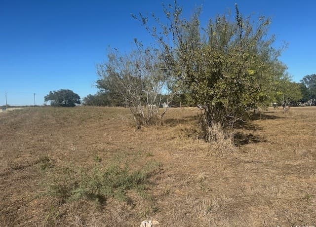 rental at 304 Woodland Dr in Pleasanton, TX — photo 4