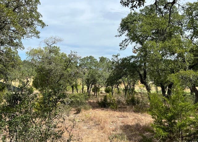 rental at LOT 29 Alberi in Boerne, TX — photo 3