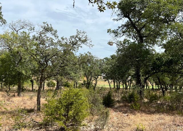 rental at LOT 29 Alberi in Boerne, TX — photo 4