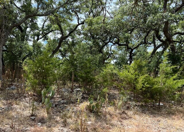 rental at LOT 29 Alberi in Boerne, TX — photo 5