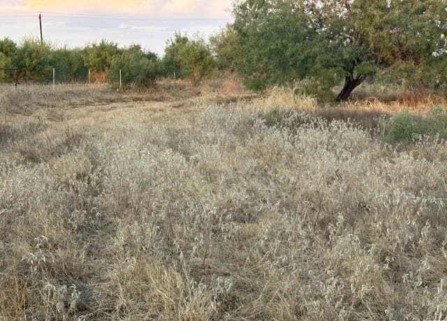 rental at 640 County Road 417 in McCoy, TX — photo 4