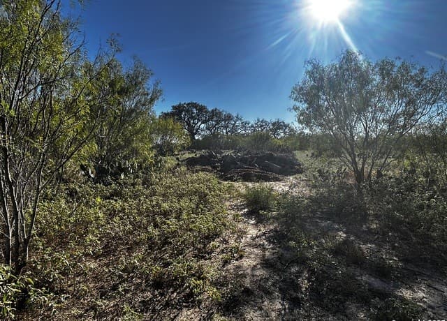 rental at TBD County Road 777 in Devine, TX — photo 1