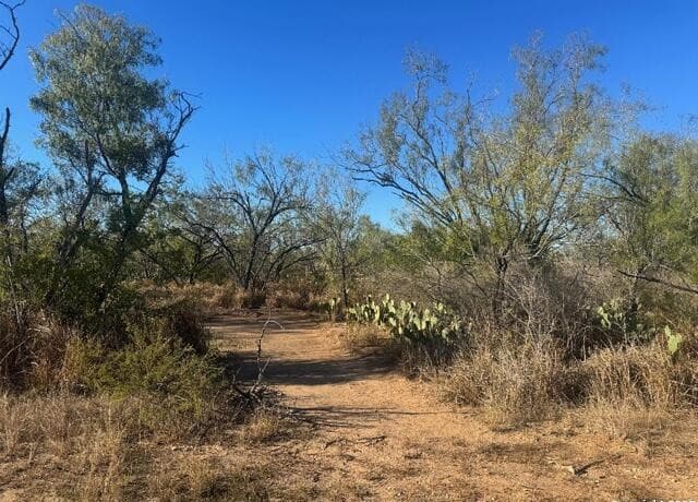 rental at LOTS 2456-2458 Ave. J in Christine, TX — photo 1