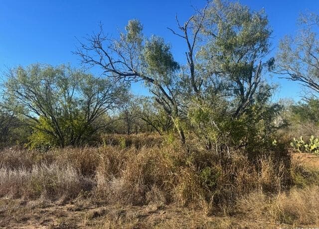 rental at LOTS 2456-2458 Ave. J in Christine, TX — photo 3