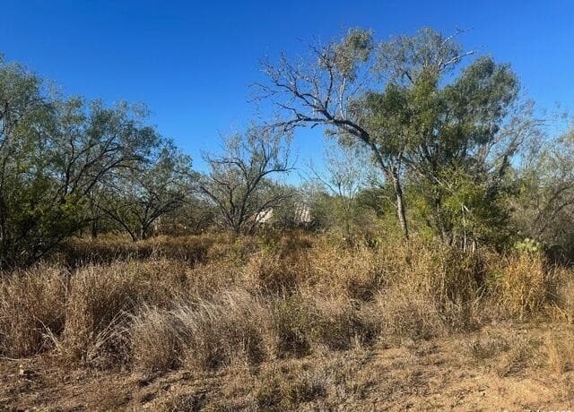 rental at LOTS 2456-2458 Ave. J in Christine, TX — photo 4