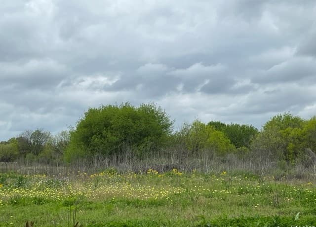 rental at TBD Pr 6736 in Devine, TX — photo 4