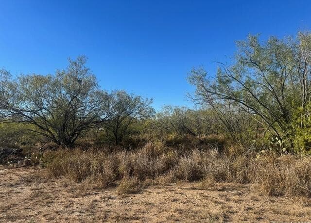 rental at LOTS 2453-2455 Ave. J in Christine, TX — photo 2