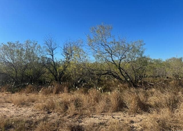 rental at LOTS 2451-2452 Ave. J in Christine, TX — photo 1