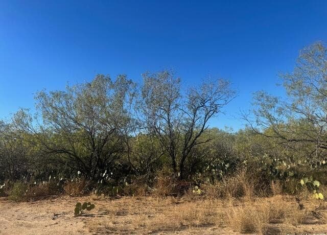 rental at LOTS 2451-2452 Ave. J in Christine, TX — photo 2