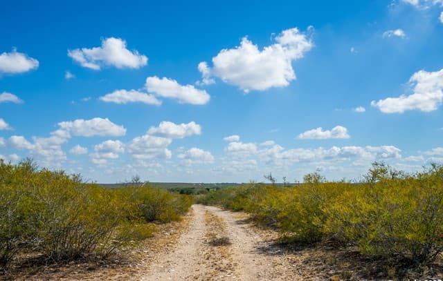 rental at 840 County Road 652 in Devine, TX — photo 2