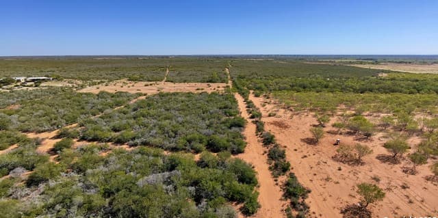 4-bedroom rental at 2198 Cr 653 in Devine, TX — photo 4