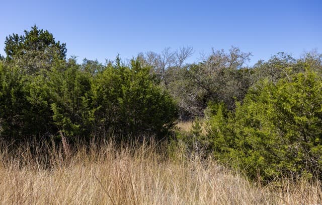 rental at BLOCK 3, LOT 1 Easy Money in Boerne, TX — photo 3