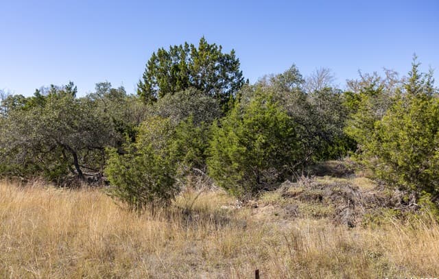 rental at BLOCK 3, LOT 1 Easy Money in Boerne, TX — photo 4